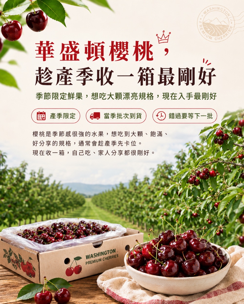 美國華盛頓櫻桃 6